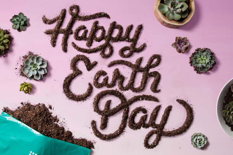 Target Earth Day Social Post