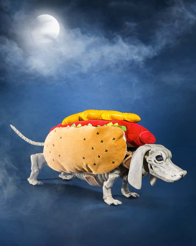 Hot Dog Skeleton